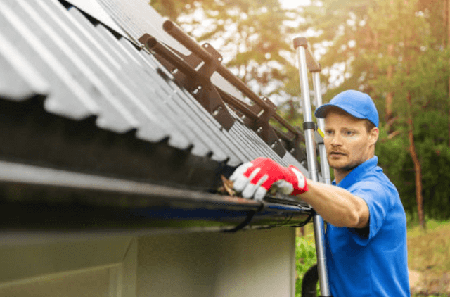 greenwood gutter service